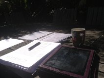 Editing in my outdoor "office.